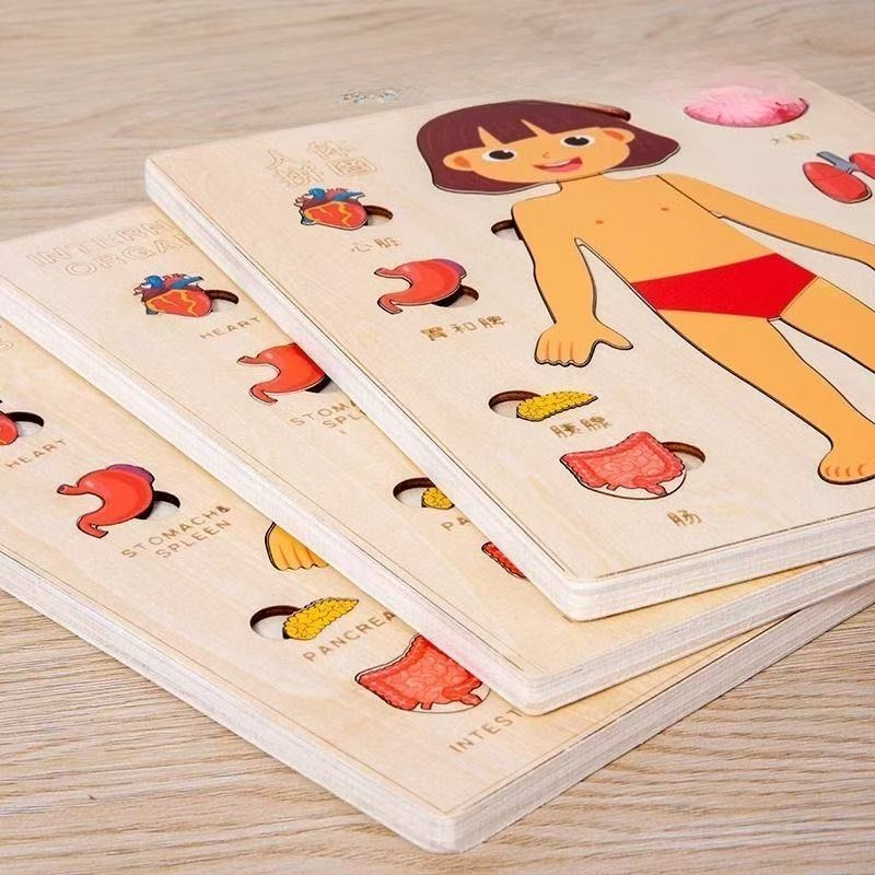 Montessori Bulmacalar Meşgul T - Human Body Puzzle incelemesi ve fiyatı