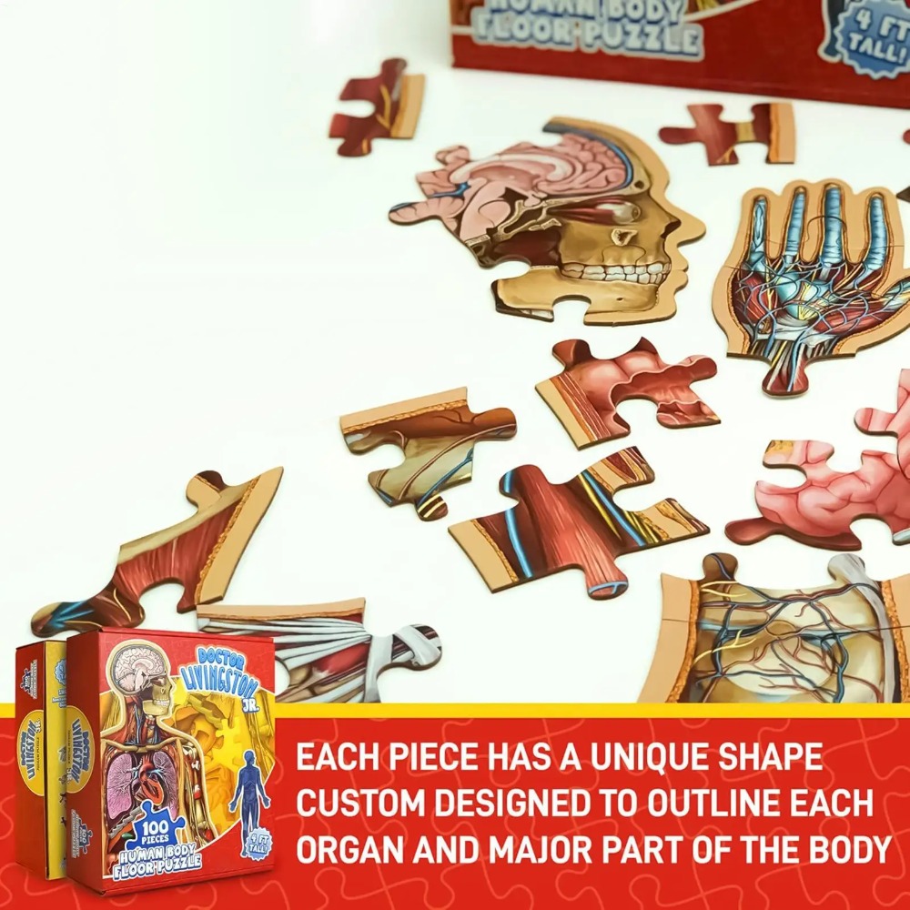100 Parça İnsan Anatomisi Bulm - Human Body Puzzle incelemesi ve fiyatı