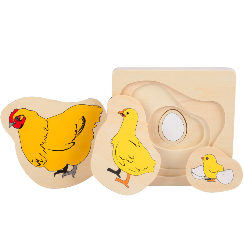 Montessori Erken Öğrenme Oyunc - Human Body Puzzle incelemesi ve fiyatı