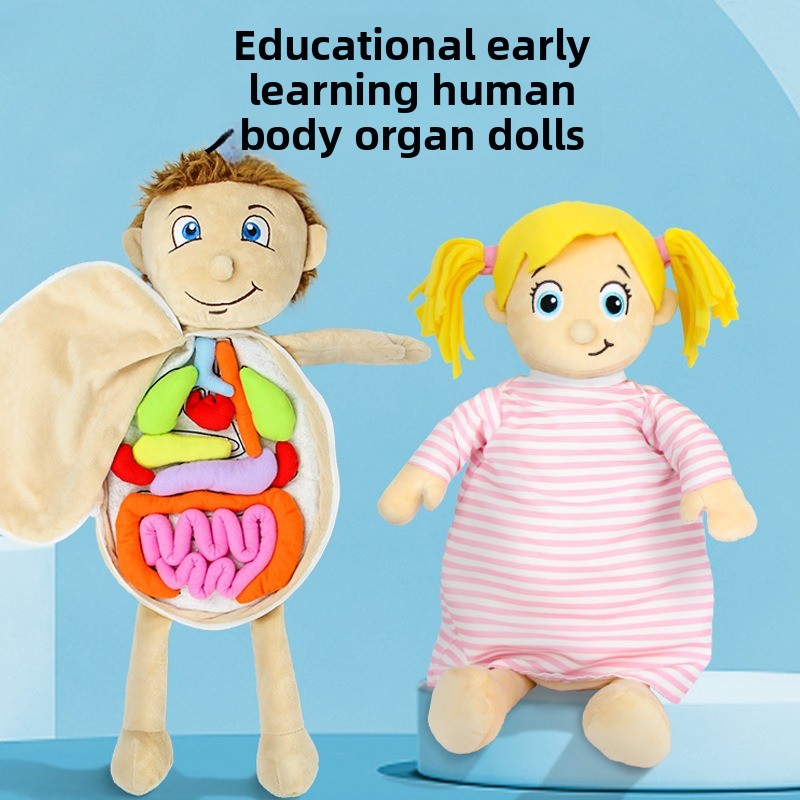 1 adet insan organı bilişsel b - Human Body Puzzle incelemesi ve fiyatı