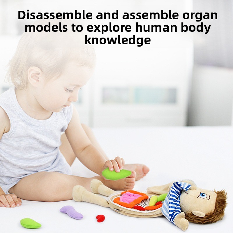 1 adet insan organı bilişsel b - Human Body Puzzle incelemesi ve fiyatı