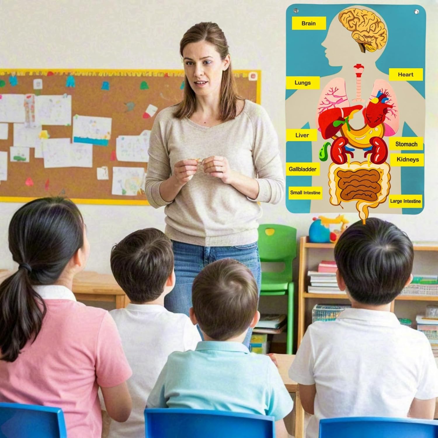 İnsan Vücudu Parçaları Keçe Ta - Human Body Puzzle incelemesi ve fiyatı