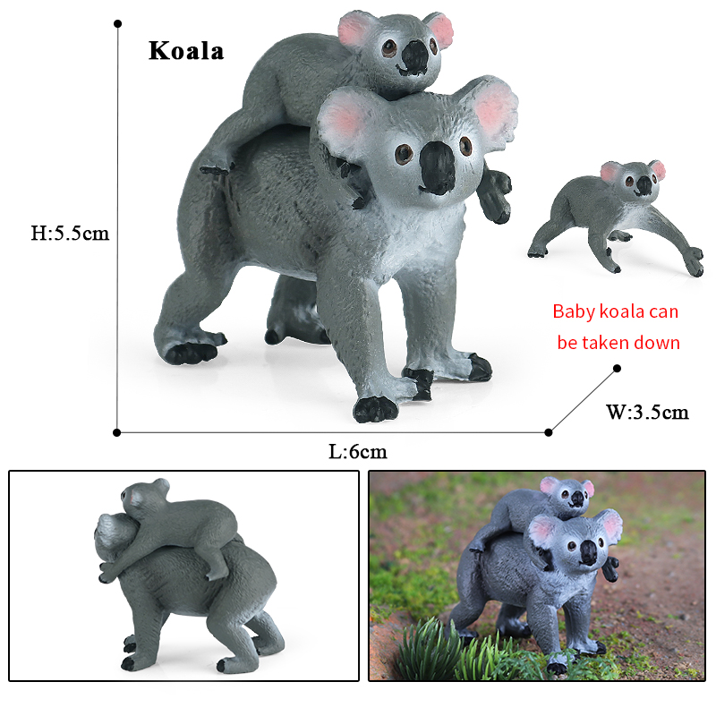 Oenux klasik avustralya vahşi  - Kangaroo Kids Education incelemesi ve fiyatı