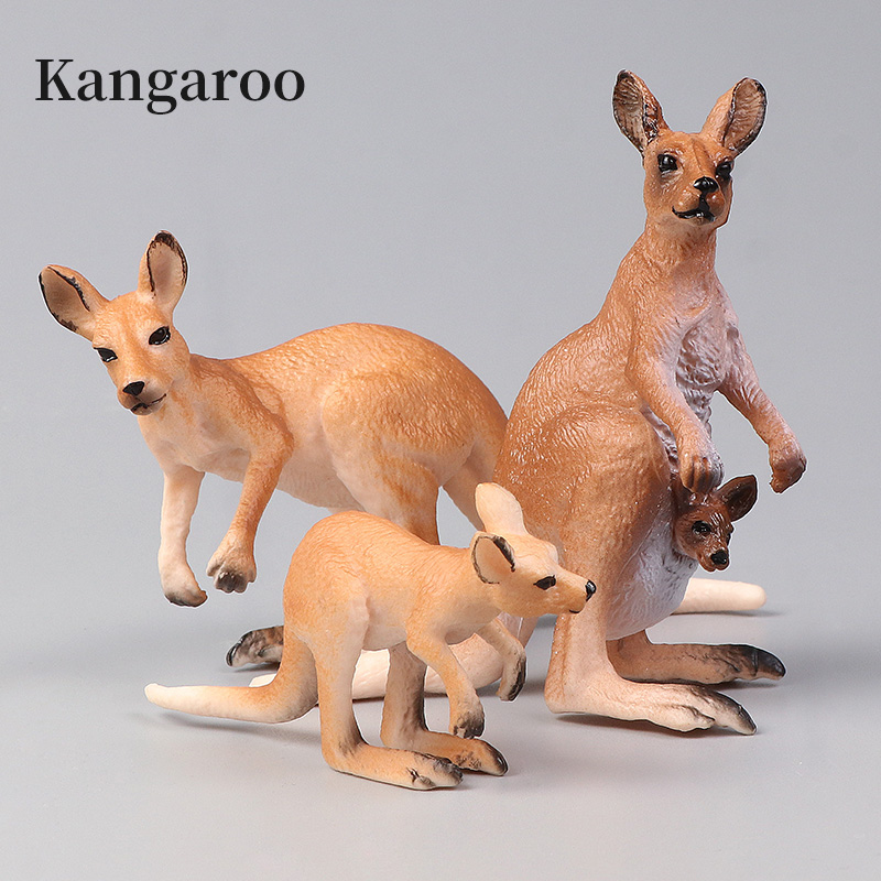 Yeni Yaban Hayatı Dünyası Kang - Kangaroo Kids Education incelemesi ve fiyatı