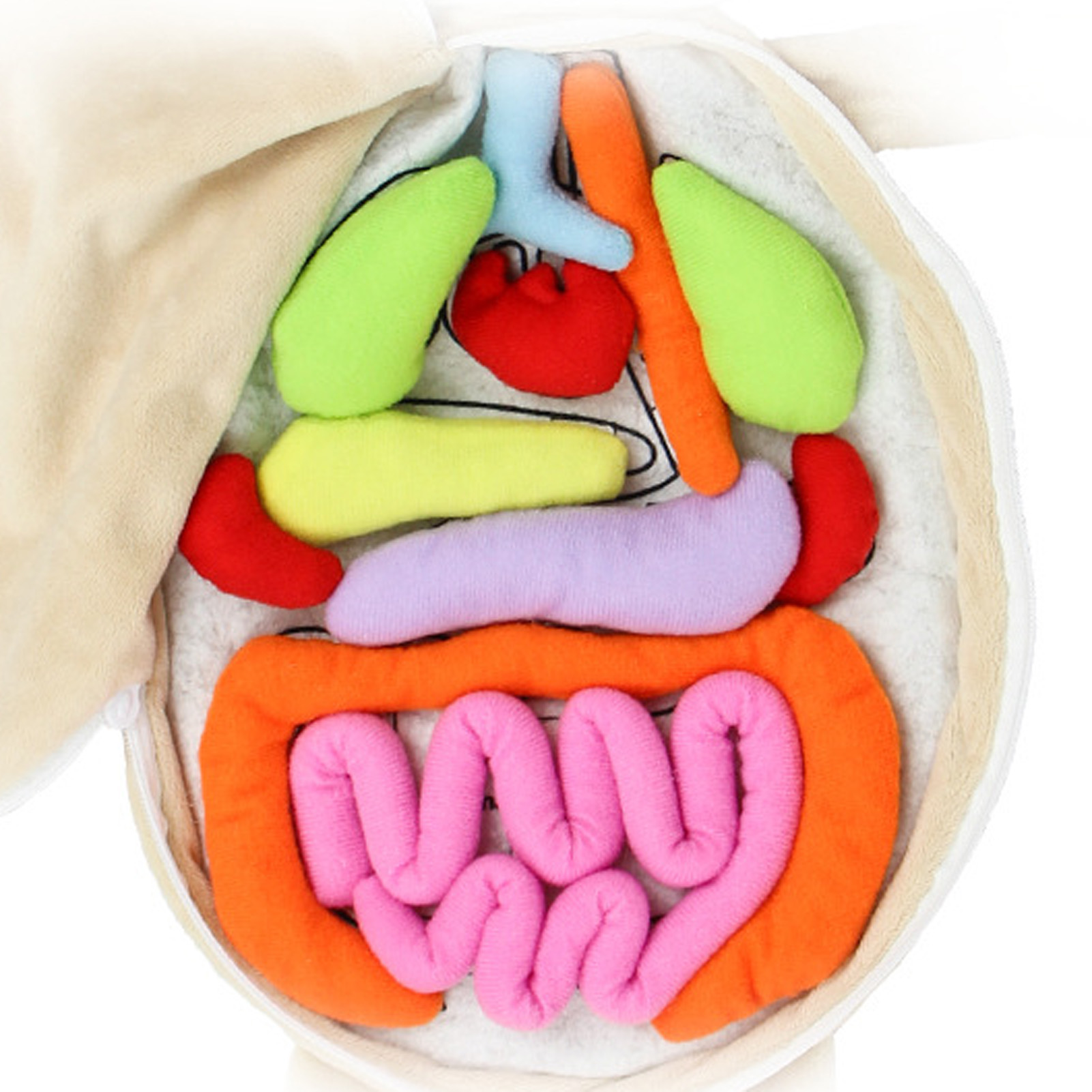 Çocuk Montessori Oyuncakları 3 - Human Body Puzzle incelemesi ve fiyatı